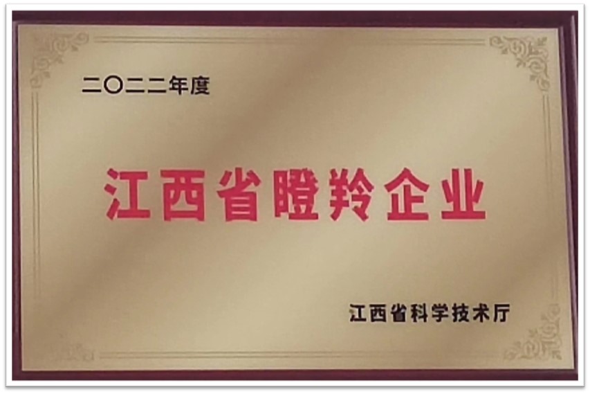 江西省瞪羚企业
